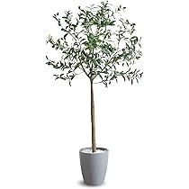 Amazon｜フェイクグリーン オリーブ 150【 枯れないから場所を